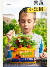 創意種植兒童玩具種植小植物學校幼兒園盆栽趣味發芽體驗植物