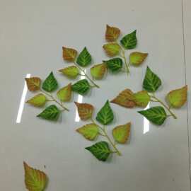 仿真秋色葡萄叶 丝印叶片 五叶片DIY材料花环绿植秋色叶子配件