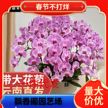һ�����l��Ϻ����m���Ԏ��󻨰�2.8�绨�����͏d�҃�ֲ����B