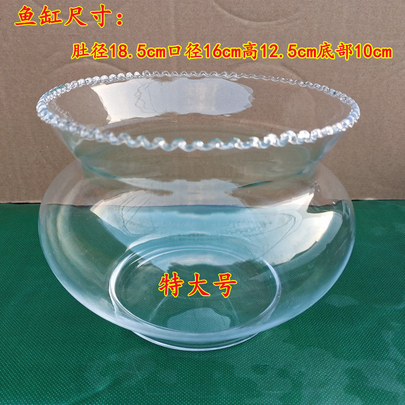 b8f64cb9-6791-471e-8f3f-51c49e1df169.jpe