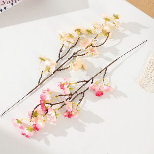 �����һ�÷��֦�͏d�[�O�����҃ȼҾ��b�С���Ļ�С֦�ѻ����l