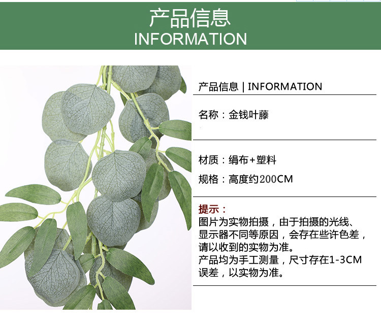 尤加利藤条
