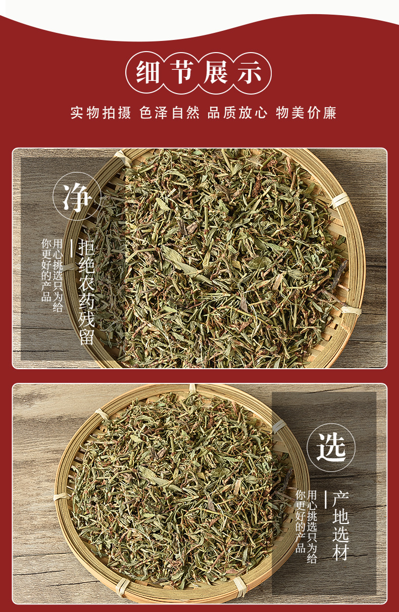 Bian Xu (Polygonum aviculare) — Dried Food Herb, Traditional Chinese Herbal Tea Ingredient quality and texture