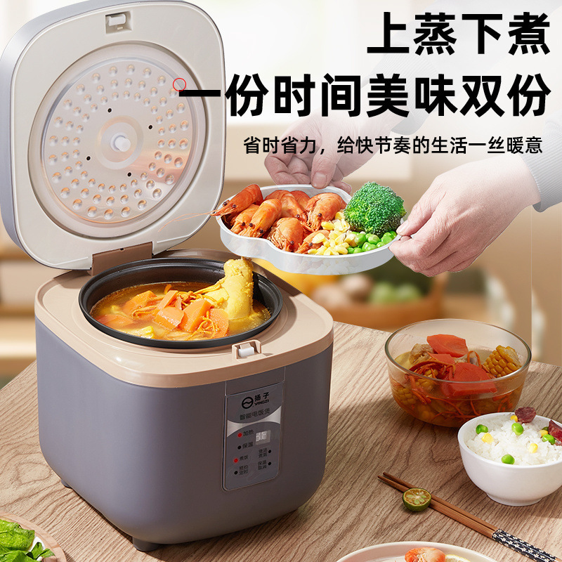 Rice Cooker Household Mini Rice Cooker Intelligent Reservation Multi-Function Fully Automatic 1-2-3-4 People Non-Stick Gallbladder