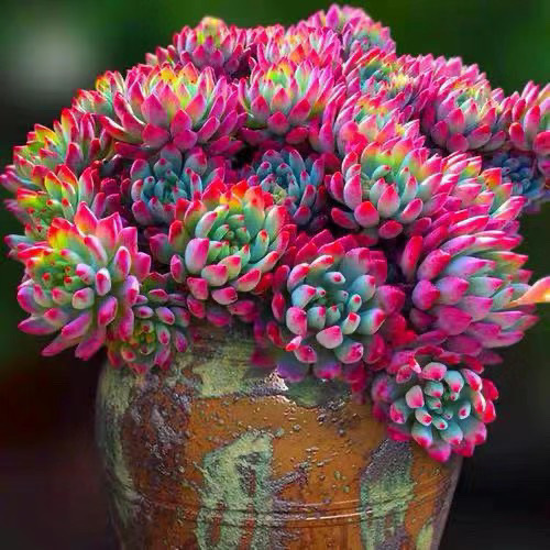 598977c8-7e2c-4e82-a6ad-d5499eebf4cc.jpe