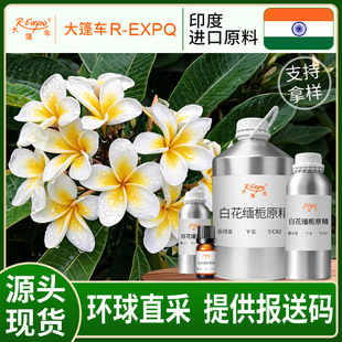 �׻����dԭ��/���u����Frangipani ӡ��ֱ�ɾ��ͷ����o���{�����l