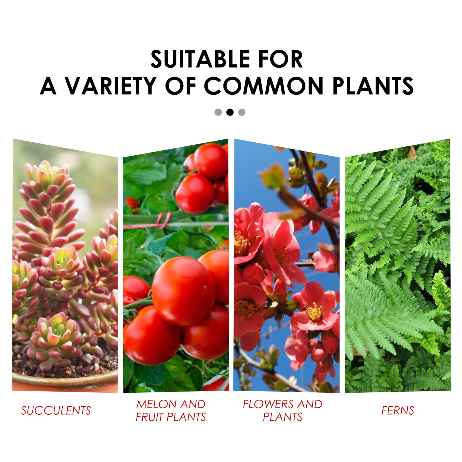 Gardening Essentials