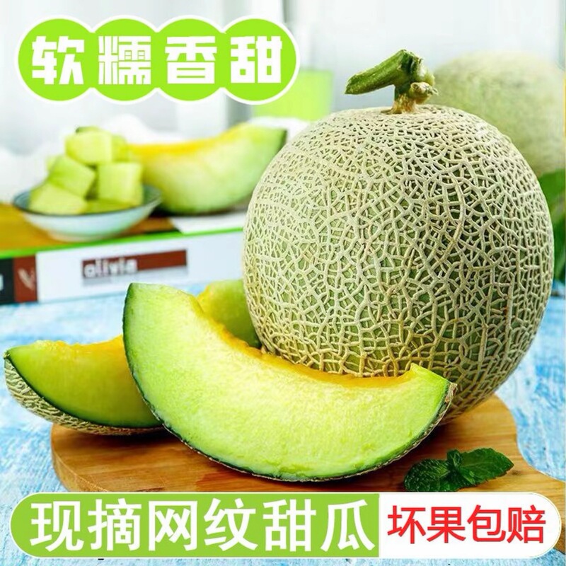 Hainan Meilong Melon, Net Melon, Cantaloupe, Freshly Picked Fruit, Ice Cream, Honeydew Melon, Soft, Glutinous and Sweet, One Piece Drop Shipping