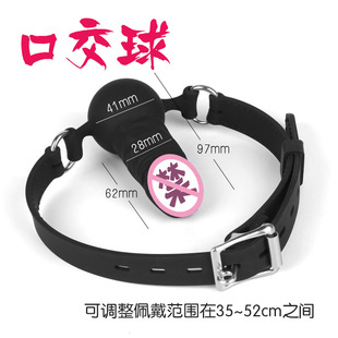 ������Ȥ��������ܛ�z�������С̖ȫ���z���� ������Ȥ�ڼ�