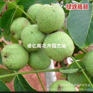 �G�����Ҙ�����ش�޽����Թ����ϱ���ͥԺ���Ա�Ƥ��������Y��