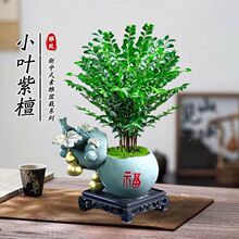 С�~��̴�Ϙ���������՚��辰����ȩ�҃������[�^�~�Gֲ���B����