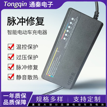 �羳������������}�_�ޏͳ����60v72v�U��늳�늄�܇�ƿ�Ħ