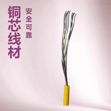 �ߜع��z��