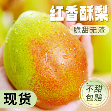 陕西红香酥梨10新鲜水果当季香梨整箱青雪酥梨应季特产斤梨子包邮