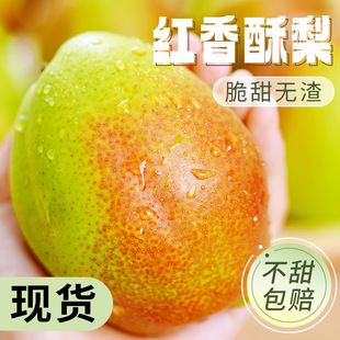 ����t������10���rˮ����������������ѩ���摪���خa�����Ӱ��]