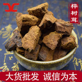 中药材长白山桦树茸 大块桦树泪 桦褐孔菌白桦茸大货批发量大从优
