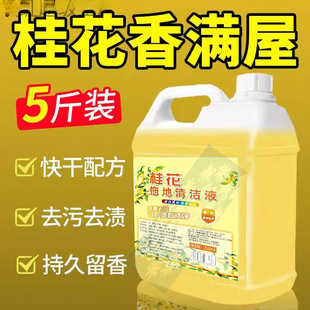 Osmanthus Floor Mop Floral Water Large Barrel High Concentration Long-Lasting Fragrance Floor Odor Removal Cleaner Jasmine Floor Mop Liquid