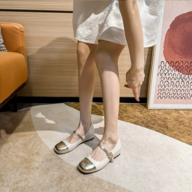 女式时装单鞋;女式皮靴;乐福鞋