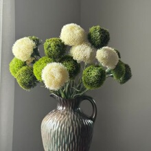 �羳���N�L֦ܛ�zʯ����滨�Gë�����GֲƷ�|Դ�^���S���lܛ�b