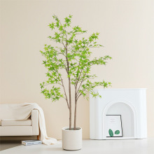 �������������ʽͥԺ���ҾGֲ�[���Ƶ��̈��҃��쾰�b�ֲ��٘�