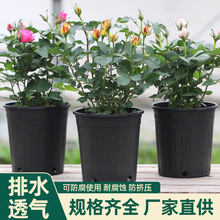 �Ӻ��ɫ�Ӂ��贵��ܛ�|�I�B�����׻����̨��ڏ����Ԍ���������