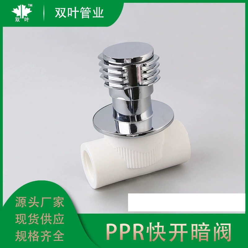 Обратный клапан PPR, запорный клапан, быстрооткрывающийся клапан PPR, скрытый клапан с сердечником клапана PPR, керамический скрытый клапан, запорный клапан с сердечником, 4/6 точек