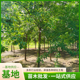 ���Ǘ� �G���L���� 8-30���ִִ�� �������Ǘ�����  �������l