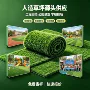源头各种参数仿真草皮