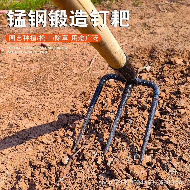 微信图片_202504031438483.jpg