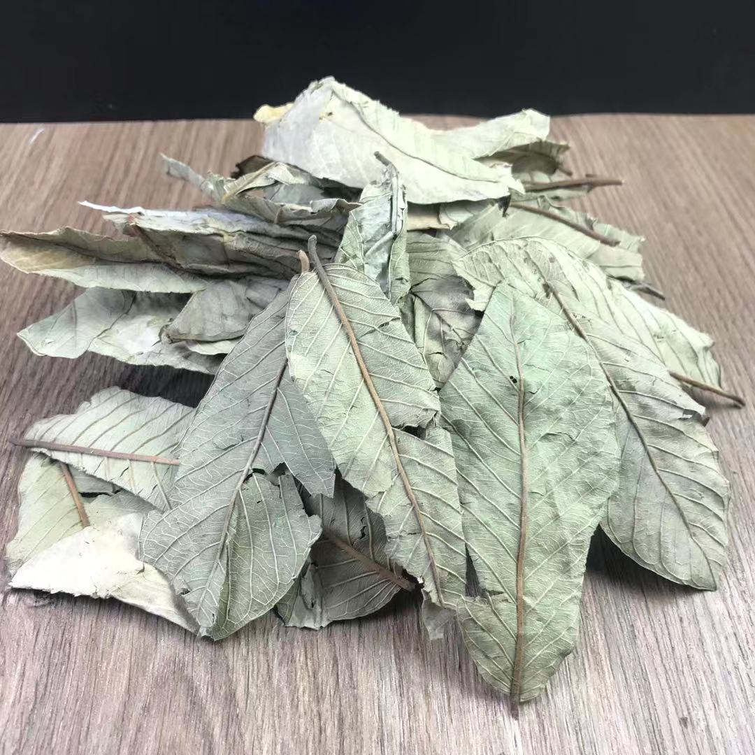 Guava Leaf Tea 番石榴叶 Fan Shi Liu Ye Dried Herbal Tea Leaves 500g for Daily Brew quality and texture
