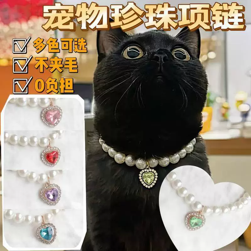 Гуанчжоу Доставка домашних кошек Немецкая кошка собака бисер ожерелье