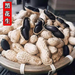 正宗富硒黑花生正品黑花生带壳紫衣花生黑衣养胃生花生