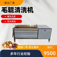 毛辊洗红薯机根茎药材桔梗清洗机核桃脱皮清洗设备洋葱清洗机