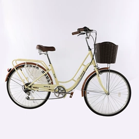 山地自行车;自行车;公路自行车