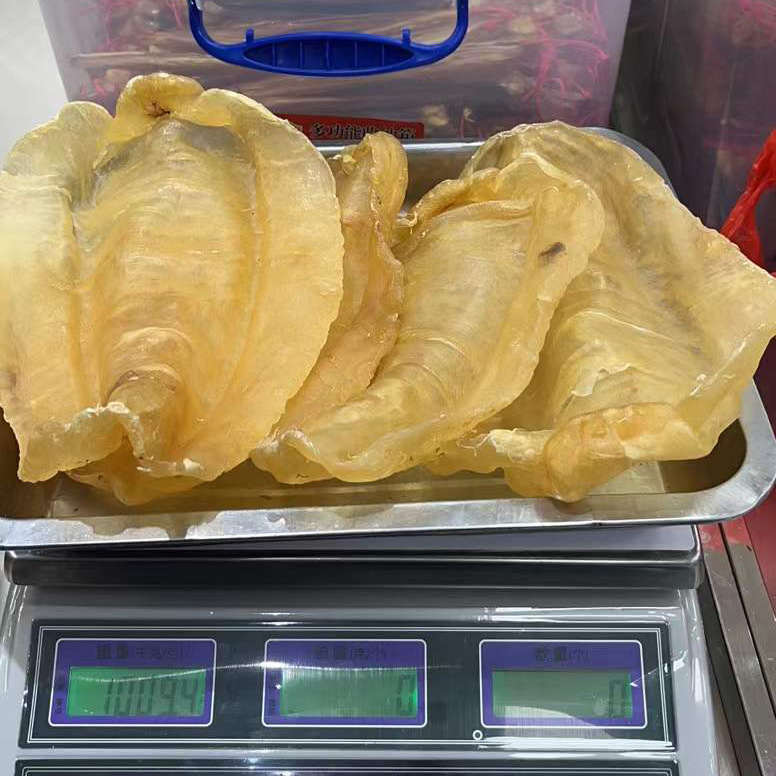 批发 2头斗湖公鱼胶 花胶 斗湖鱼肚 斗湖胶柔肉 海味干货全国代发