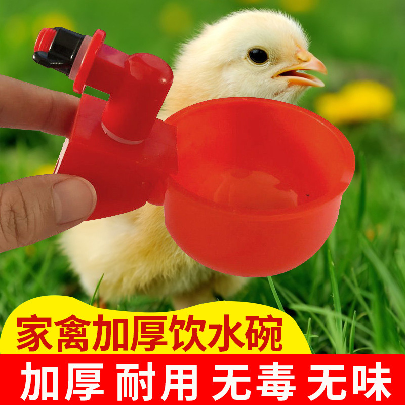 Cross -border new type of chicken duck and geese poultry automatic…