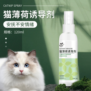 Daoliqi Catnip Inducer 120m Soothes Mood, Self-Pleasure Cat Scratching Board Catnip Liquid Spray Wholesale