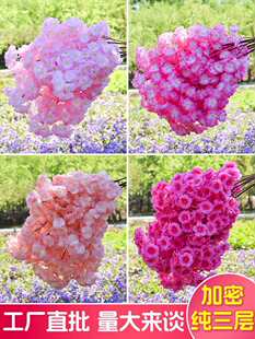 ����֦���ܘ�÷���滨�һ�֦��c���ϻ��͏d��픻����b�