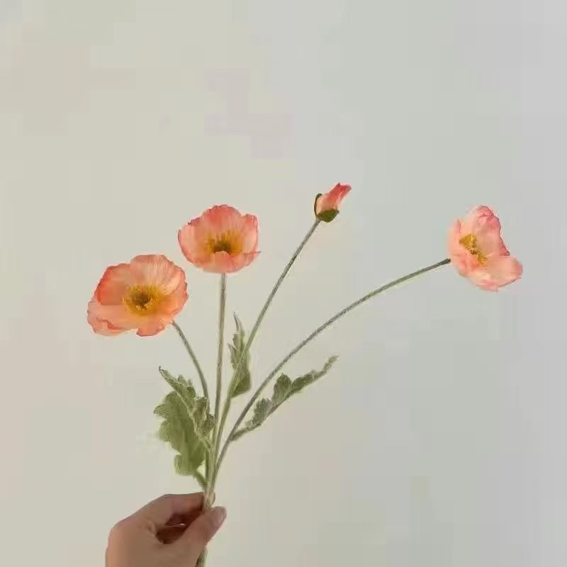 연어색