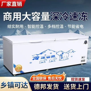 省电冰柜全冷冻商用大容量两用卧式冷藏超市双温工厂直营展示柜