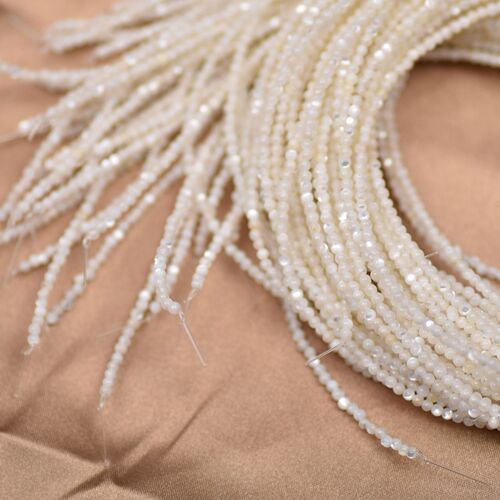 White butterfly oyster natural shell pearl 2m yellow shell beads Hanfu loose beads necklace bracelet hairpin jewelry accessories wholesale