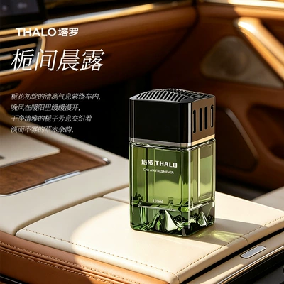 Long-Lasting Fragrance in the | Car Perfume Aromatherapy