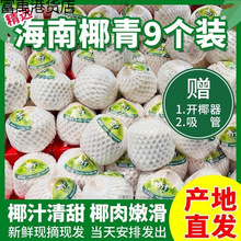 海南椰子新鲜椰青水果当季水果海南产文昌热带整箱批发