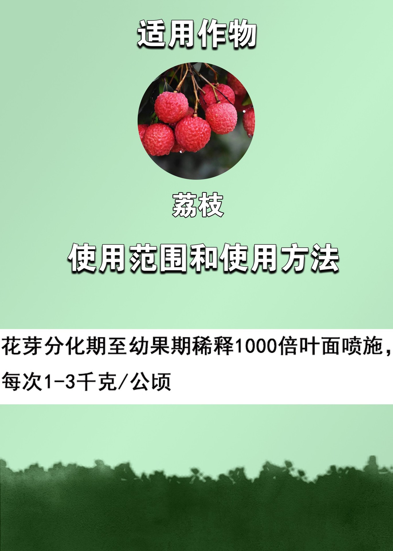 1688模板2-恢复的