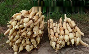 �\ˮź�N��ɏź�Nź��ˮź�N �߮aʳ��ɏź�N�� ź����ź����̫��