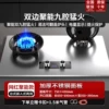 Internet celebrity 750 can be flipped double ten-cavity dish stove-power prompts-stainless steel