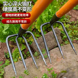 锄头;耙子;修枝剪