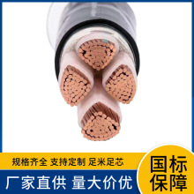 ZCNYJV22 1 2 3 4 5о�z�b��ȼ�ͻ�͉������|��ُ �����ľ�