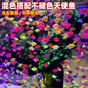 ��ʹ�~�^�p�~���~��̖Ⱥ�λ��w���R��ȸ�Ꭷ�~С���~��ˮ���B�ͻ�