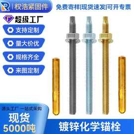 跨境厂家定制国标化学锚栓镀锌化学螺丝锚固幕墙配件化学螺栓m30